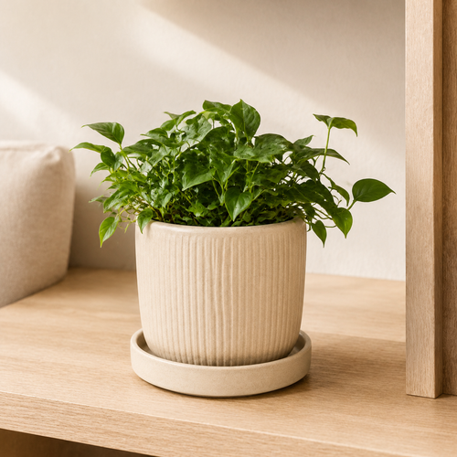 Cache-Pot Décoratif avec Plateau