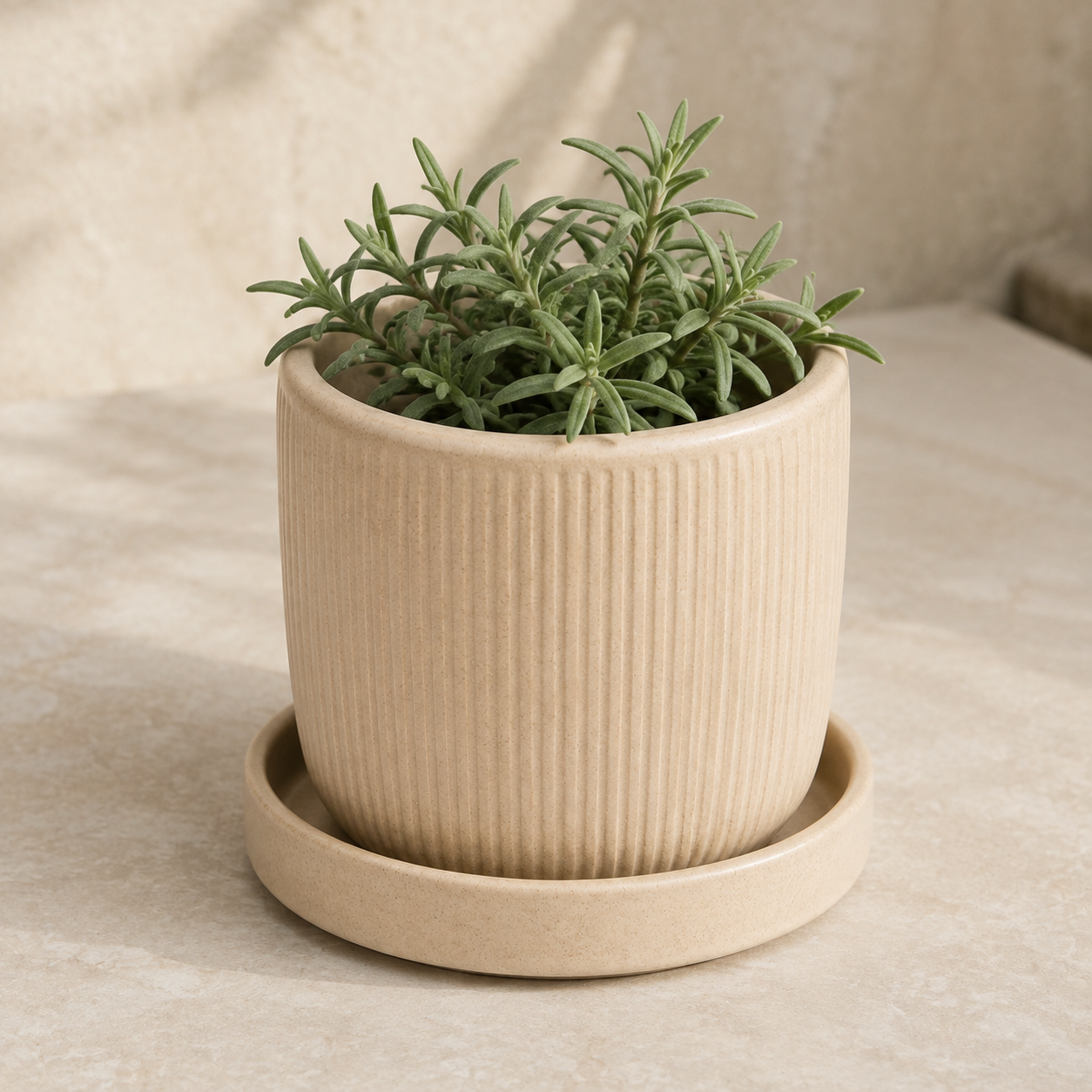 Cache-Pot Décoratif avec Plateau